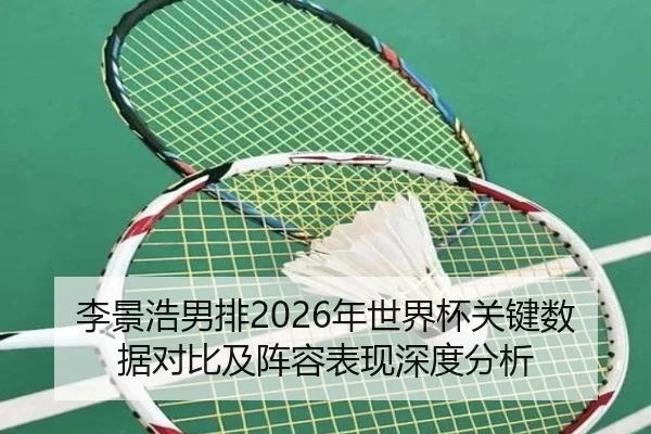 李景浩男排2026年世界杯关键数据对比及阵容表现深度分析